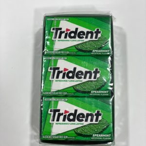 آدامس تریدنت نعنا 30 گرمی Trident